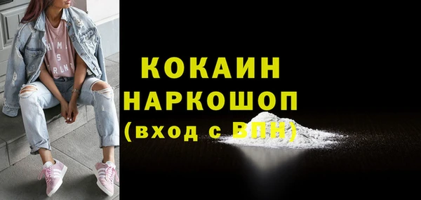 прущий лед Вяземский