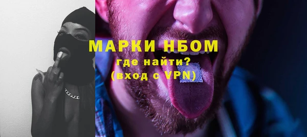 прущий лед Вяземский