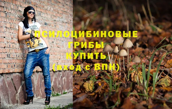 амф Вязники