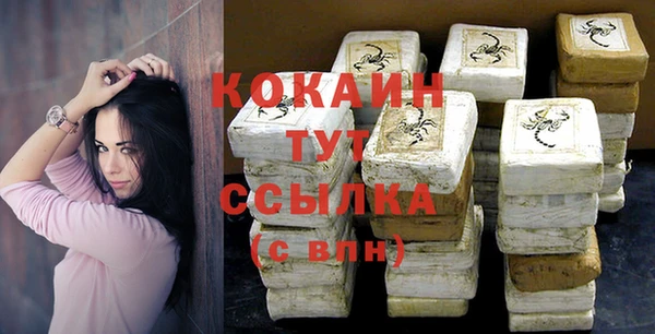 прущий лед Вяземский