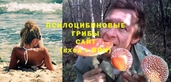 СК Волоколамск